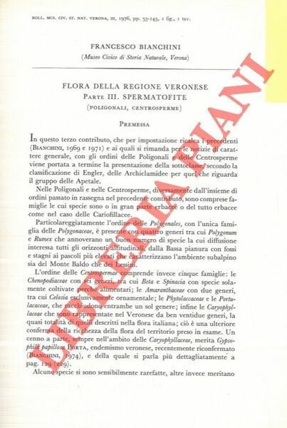 Flora della regione veronese. Spermatofite.