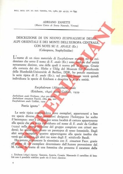 Descrizione di un nuovo Eusphalerum delle Alpi Orientali e dei …