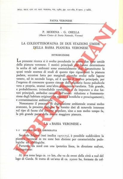 La coleotterofauna di due stazioni umide della bassa pianura veronese. | Immagine principale