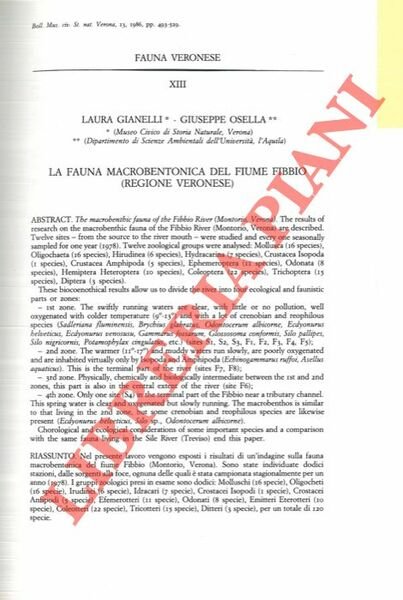 La fauna macrobentonica del fiume Fibbio (regione veronese) . | Immagine principale
