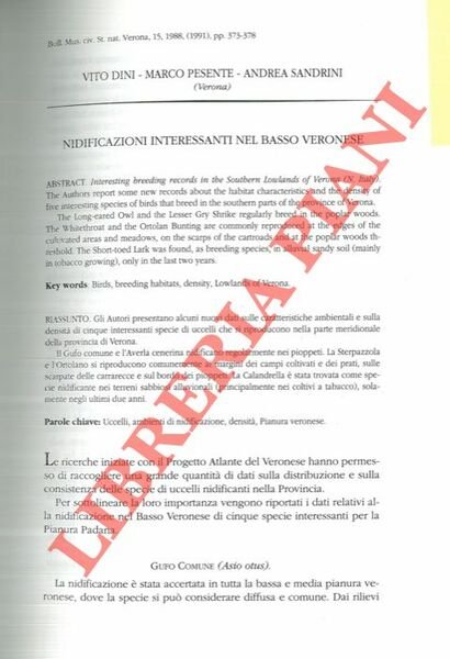 Nidificazioni interessanti nel Basso Veronese. | Immagine principale