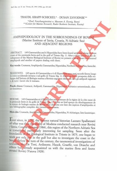 Amphipodology in the surroundings of Rovinj (Marine Institute of Istria, Croatia, N.Adriatic Sea) and adjacent regions.