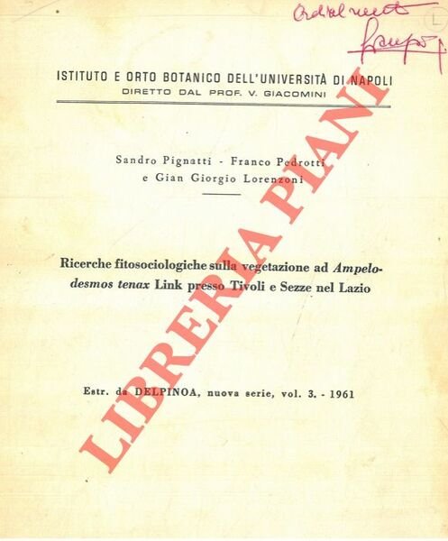 Ricerche fitosociologiche sulla vegetazione ad Ampelodesmos tenax Link presso Tivoli …