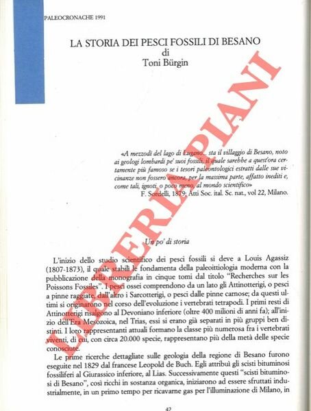 La storia dei pesci fossili di Besano.