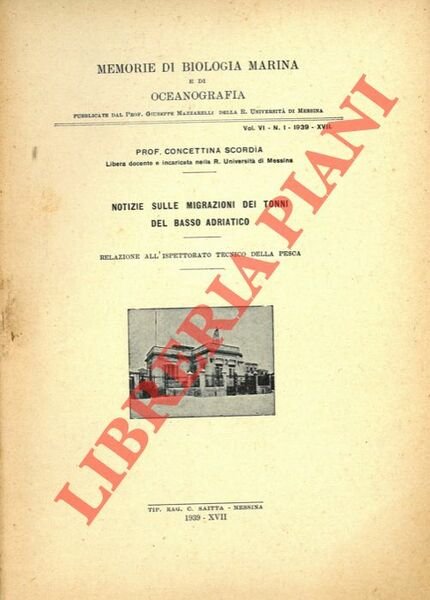 Notizie sulle migrazioni dei tonni del Basso Adriatico.