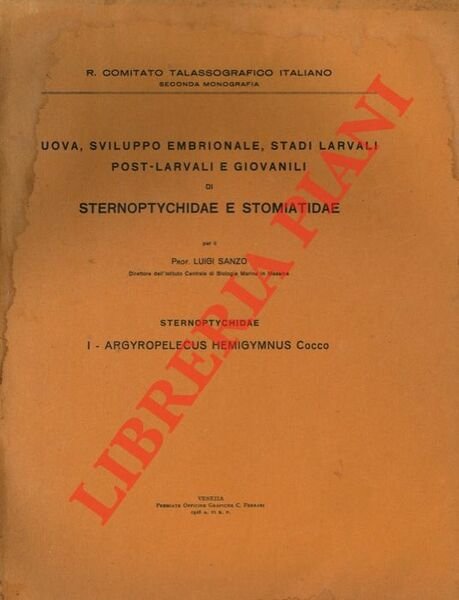 Uova, sviluppo embrionale. stadi larvali post-larvali e giovanili di Sternoptychidae …