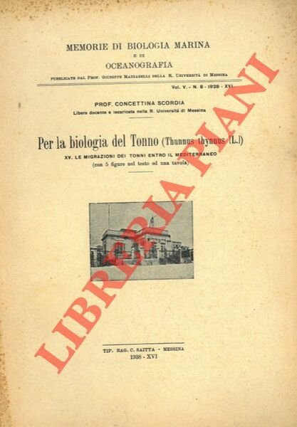 Per la biologia del Tonno. (Thunnus thynnus L.) XV - …