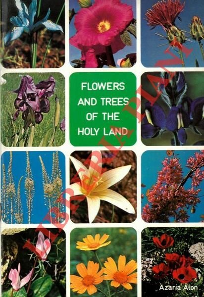 Flowers and trees of the Holy Land.