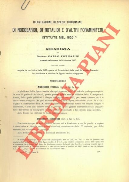 Illustrazione di specie orbignyane di Nodosaridi, di Rotalidi e d'altri …