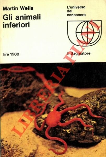 Gli animali inferiori.