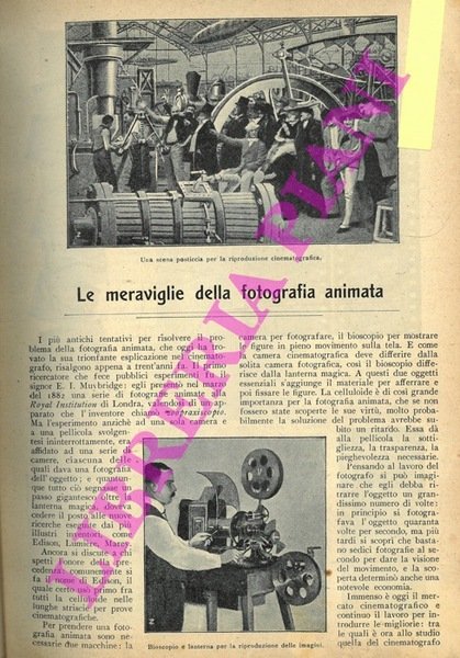 Le meraviglie della fotografia animata.