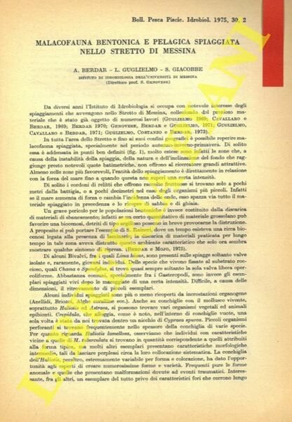 Malacofauna bentonica e pelagica spiaggiata nello Stretto di Messina.