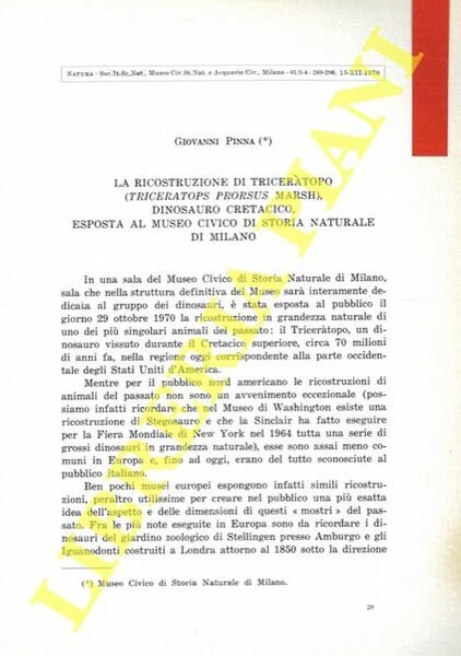 La ricostruzione di Triceratopo (Triceratops prorsus Marsh) dinosauro cretacico, esposta …