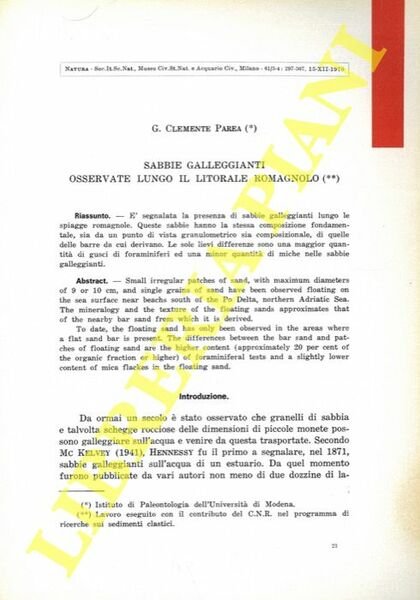 Sabbie galleggianti osservate lungo il litorale romagnolo.