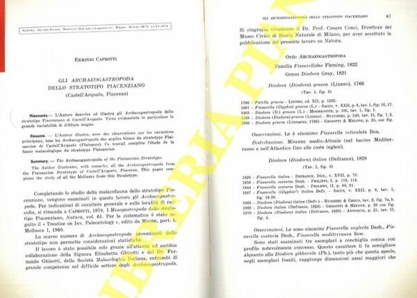 Gli Archaeogastropoda dello stratotipo Piacenziano (Castell'Arquato, Piacenza) .