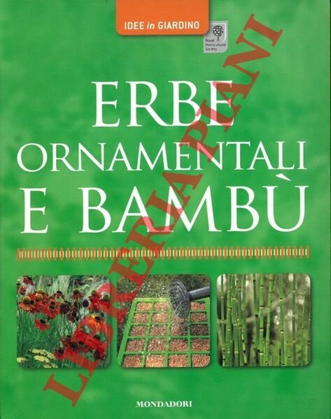 Erbe ornamentali e bambù.