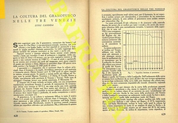 La coltura del granoturco nelle Tre Venezie.