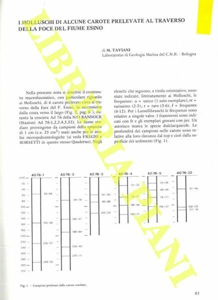 I molluschi di alcune carote prelevate al traverso della foce …