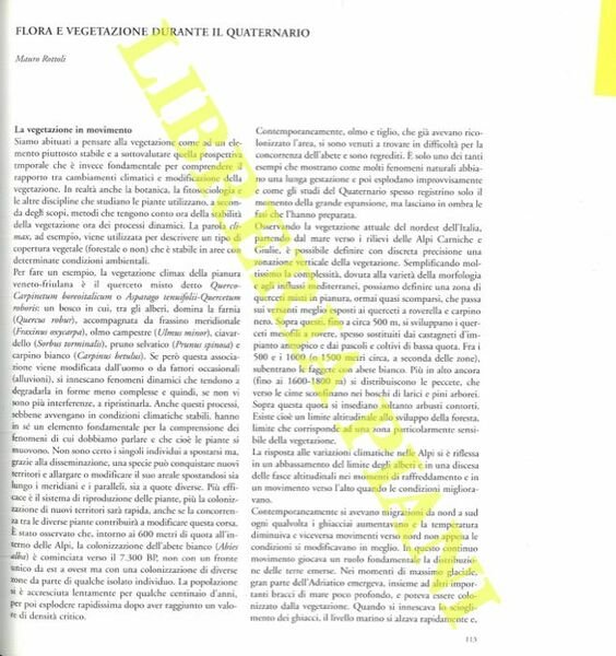 Flora e vegetazione durante il Quaternario.