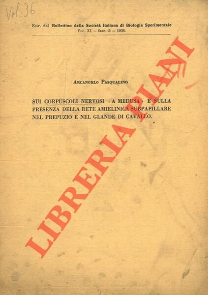 PASQUALINO Arcangelo -