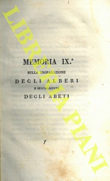 Sulla propagazione degli alberi e specialmente degli abeti.