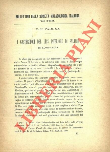 I Gasteropodi del Lias inferiore di Saltrio in Lombardia.