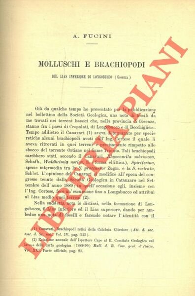 Molluschi e brachipodi del Lias Inferiore di Longobucco (Cosenza).