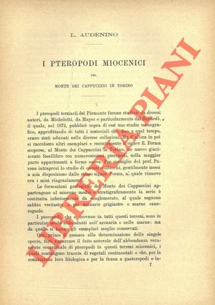 I Pteropodi miocenici del Monte dei Cappuccini in Torino.