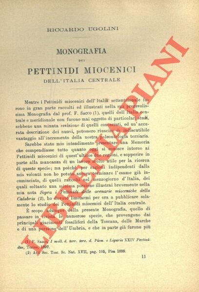 Monografia dei Pettinidi miocenici dell'Italia Centrale.