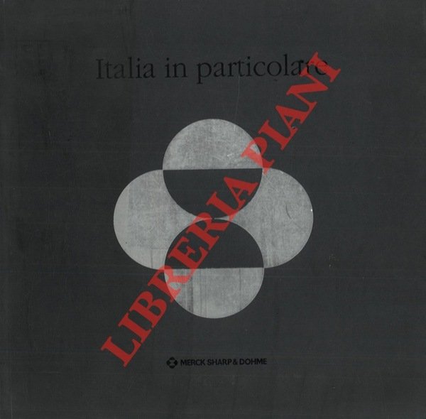 Italia in particolare. Roma Venezia Firenze Napoli Milano Palermo Torino …