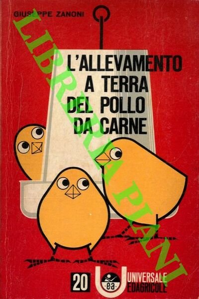 L'allevamento a terra del pollo da carne.