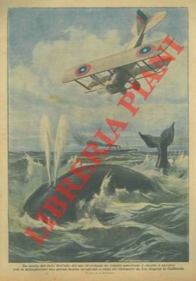 Dall'alto del suo aeroplano un tenente americano è riuscito a …