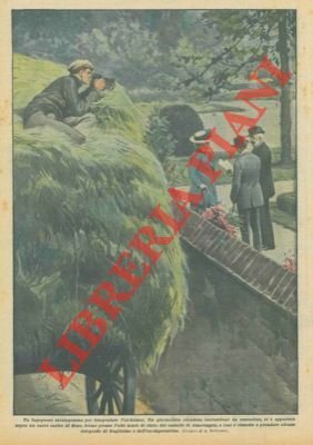 Giornalista travestitosi da contadino e appostatosi sopra un carro carico …