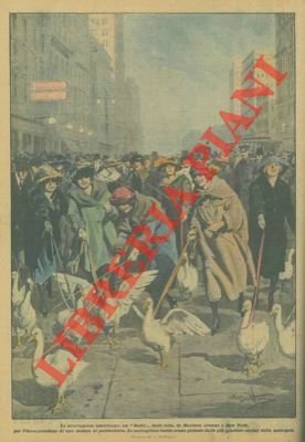 Una stravagante corsa di oche in Madison Avenue a New … | Immagine Gallery 1