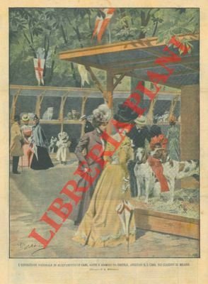 L'Esposizione Nazionale degli animali da allevamento: cani, gatti, ecc. nei …