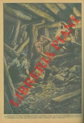 Miracoloso salvataggio nelle miniere lignifere di Castelnuovo