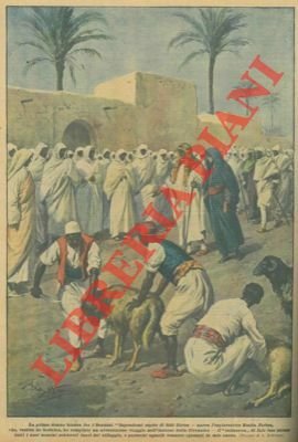 Avventuroso viaggio dell'esploratrice Rosita Forbes all'interno della Cirenaica.