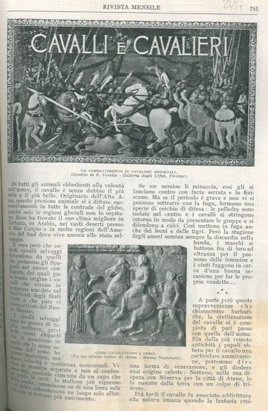 Cavalli e cavalieri.