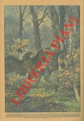 Cacciatore scopre un'aquila in un folto cespuglio e dopo averla …