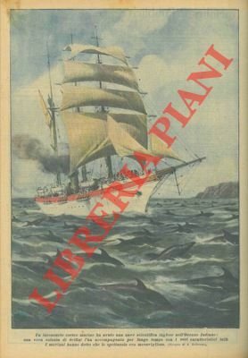 Una vera colonia di delfini ha accompagnato una nave scientifica …