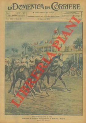 Corsa di cammelli nell'ippodromo di Bu-Setta