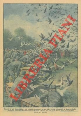 Le società colombofile di Reggio Emilia liberano 4.000 colombi a Roma per una gara di volo.