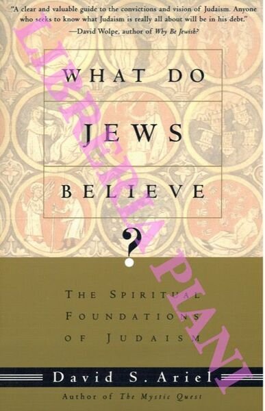 What Do Jews Believe? The Spiritual Foundations of Judaism.