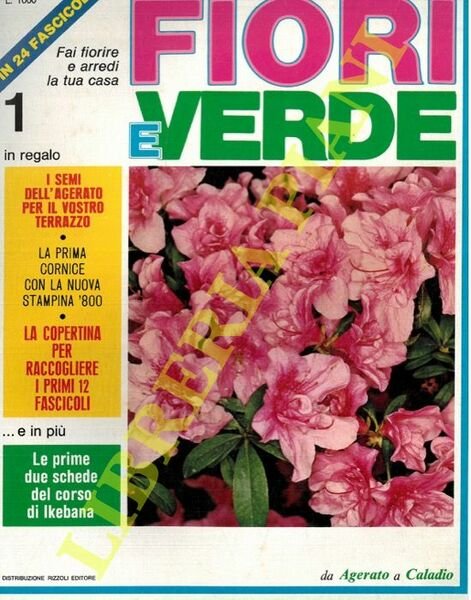 Fiori e verde. - Conoscere gli alberi. - Piante in casa.