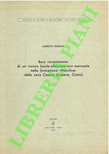 Raro rinvenimento di un tronco fossile silicizzato con marcasite nella …