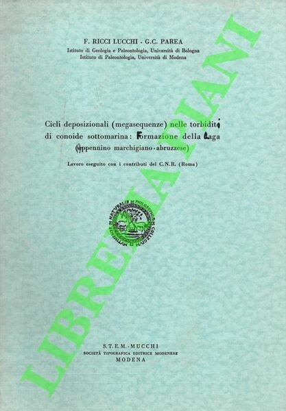 Cicli deposizionali (megasequenze) nelle torbiditi di conoide sottomarina: Formazione della …