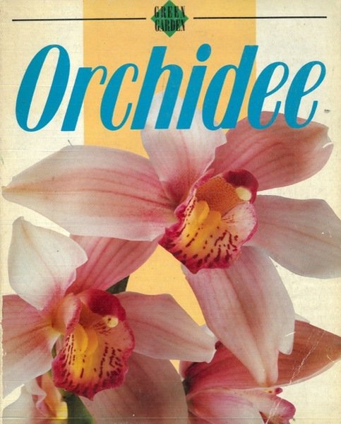 Orchidee. | Immagine principale