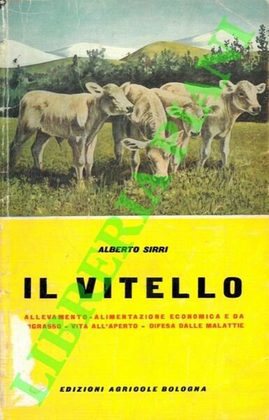 Il vitello.