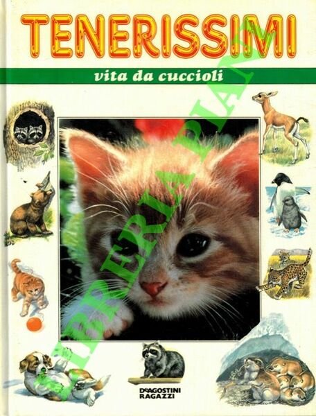 Tenerissimi vita da cuccioli.