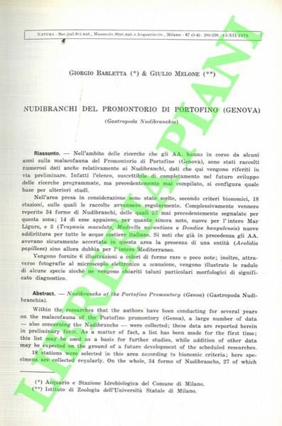 Nudibranchi del promontorio di Portofino (Genova). (Gastropoda Nudibranchia).